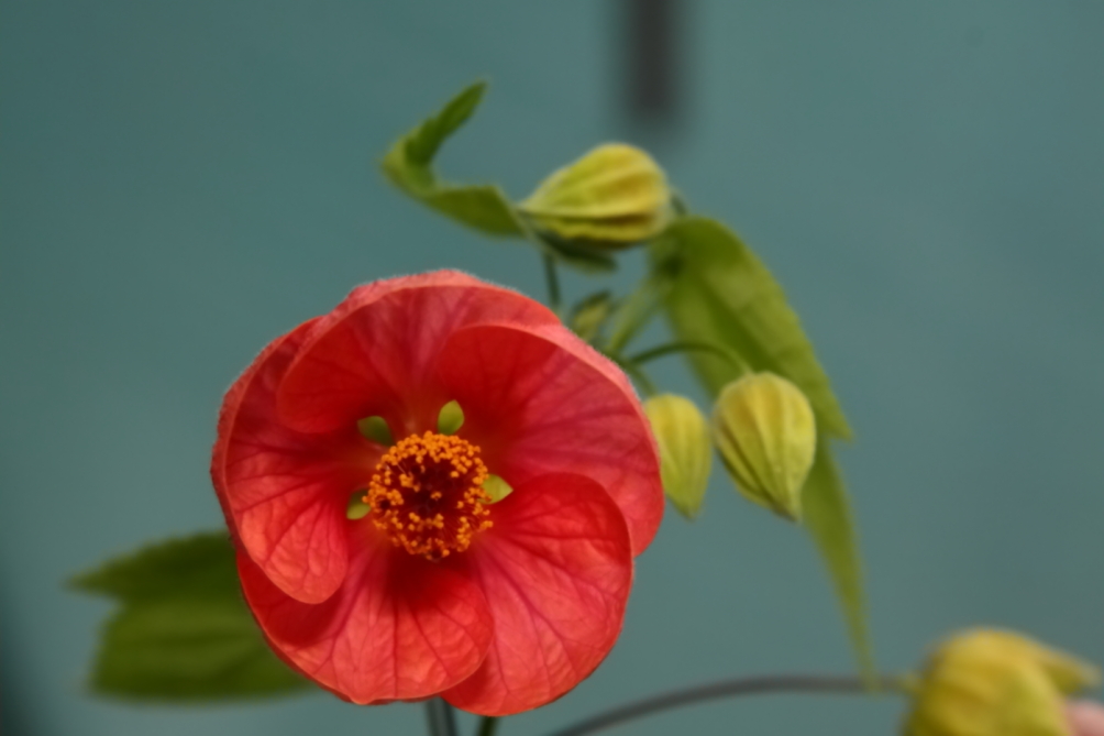 2011 08 05 IMG 35589